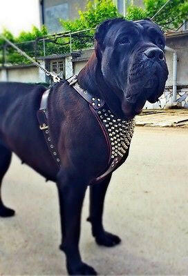 Bestia Dog Gear Genuine Leather Dog Harness - Red/XXL 