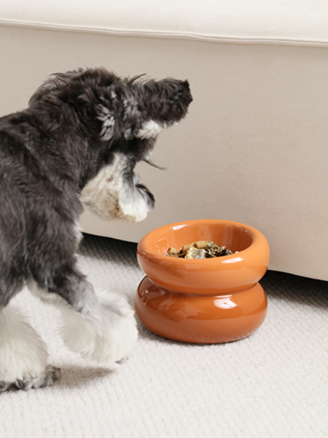 Souffle Pet Bowl-Amber Orange