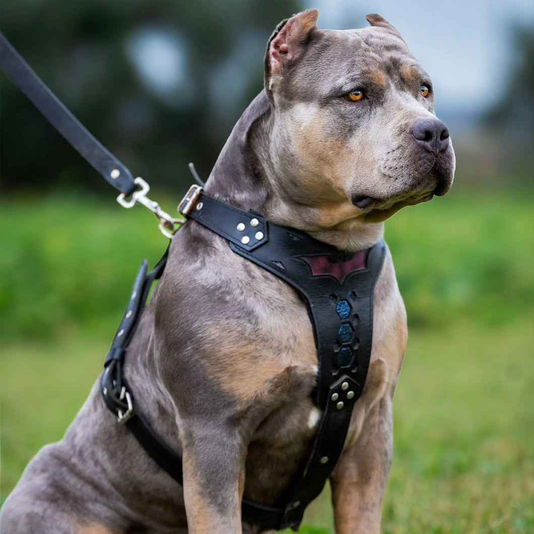 Bestia Batman Leather Medium Dog Harness