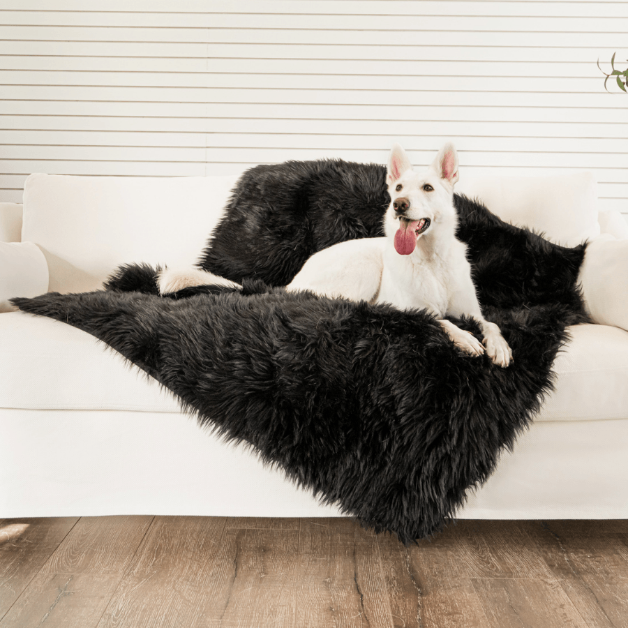 PupProtector™ Waterproof Throw Blanket - Midnight Black | HT Animal Supply