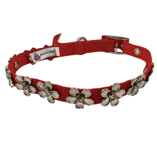 Huxley and Kent- Lucy Dog Collar