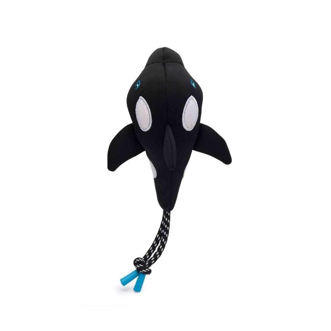 Floatie Whale 