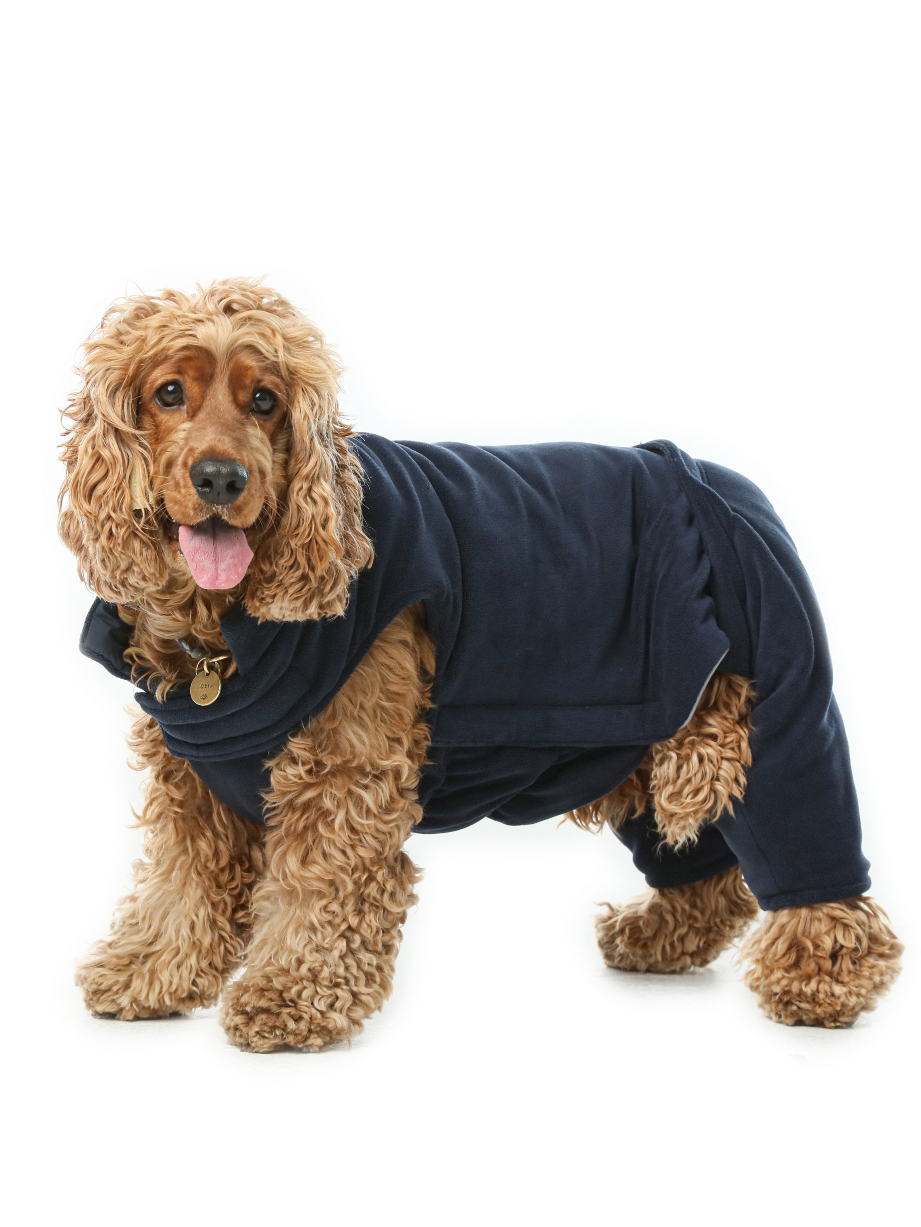 Reversible Dog Vest Jacket-Blue
