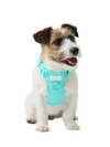 No Pull Active Pet Harness-Mint Green