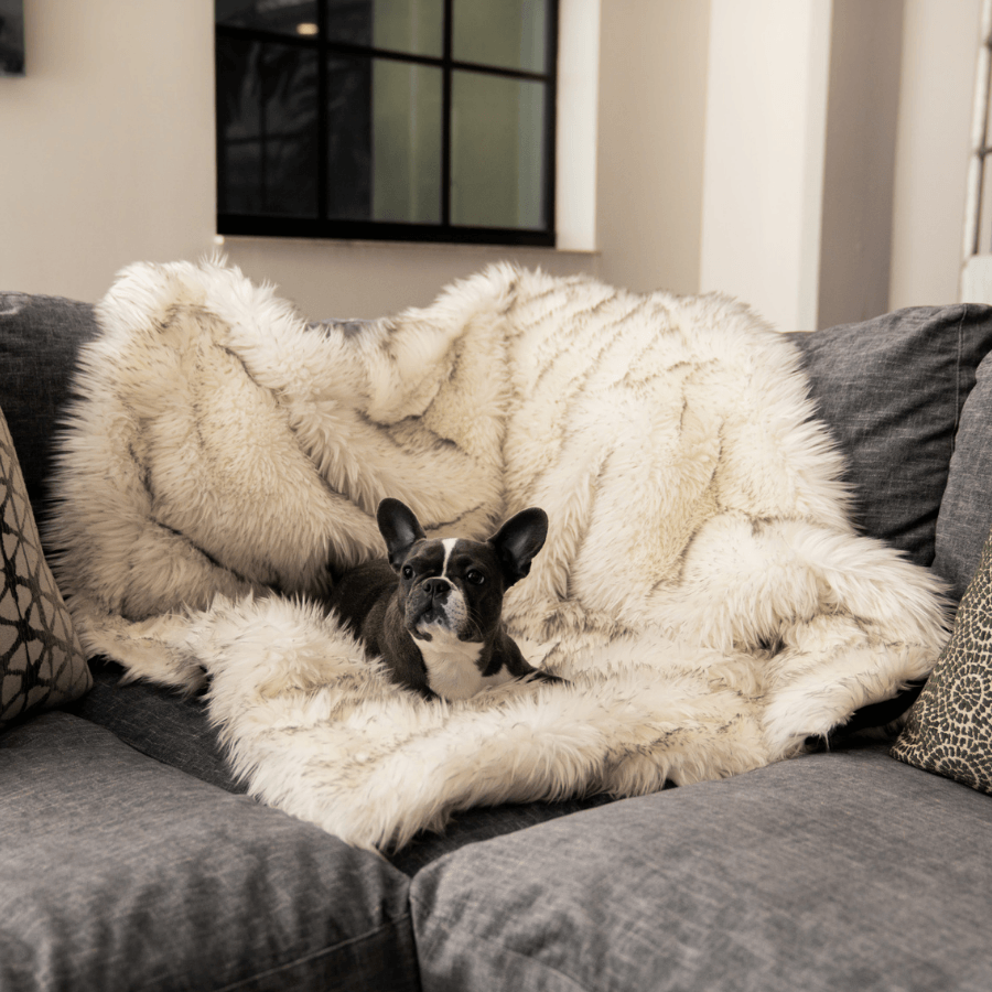 PupProtector Waterproof Throw Blanket White with Brown Accents 