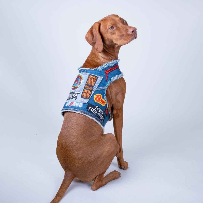 Rocker Harness 2.0