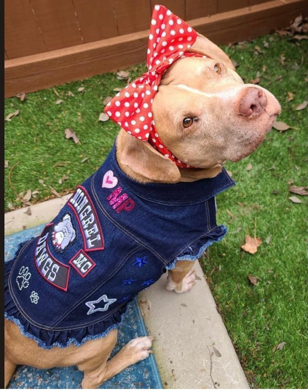 Mongrel Dawgs MC - Denim Jacket with Ruffles