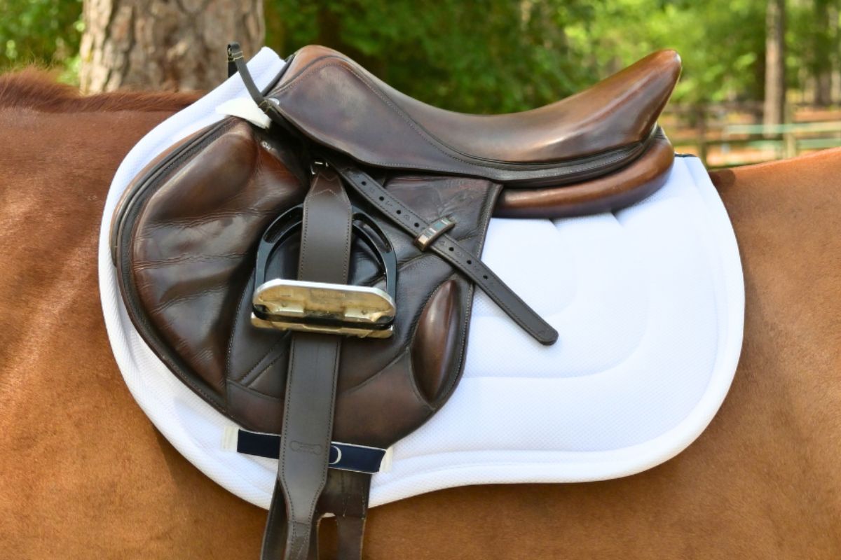 Jump Mesh Saddle Pad with Quick Dry Cotton Lining in Navy, White, or Black