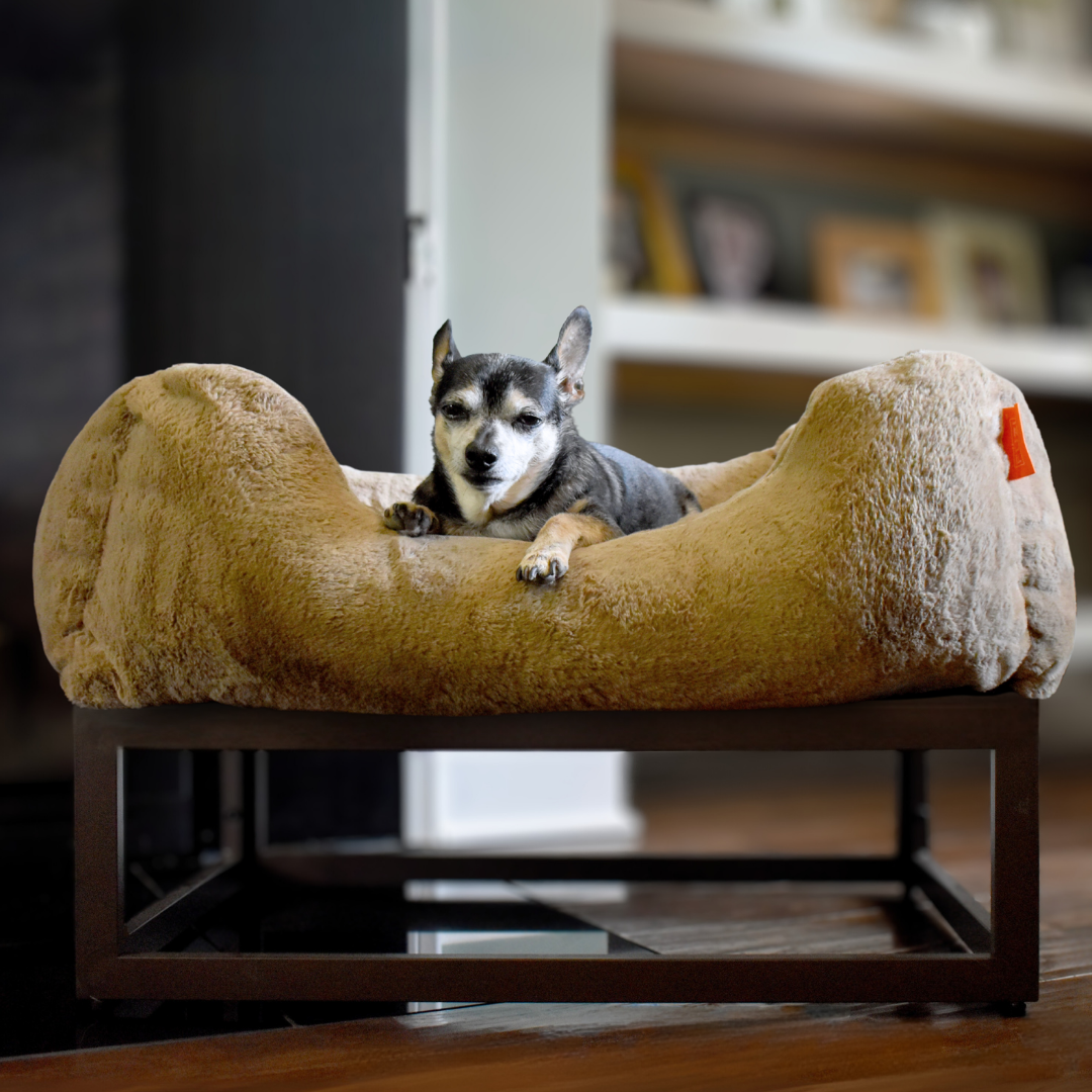 The FUZI Elevated Dog Bed