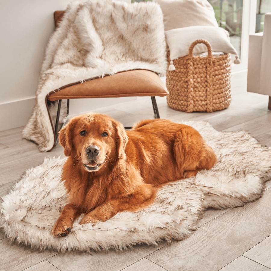 Puprug Faux Fur Orthopedic Dog Bed Curve White with Brown Accents