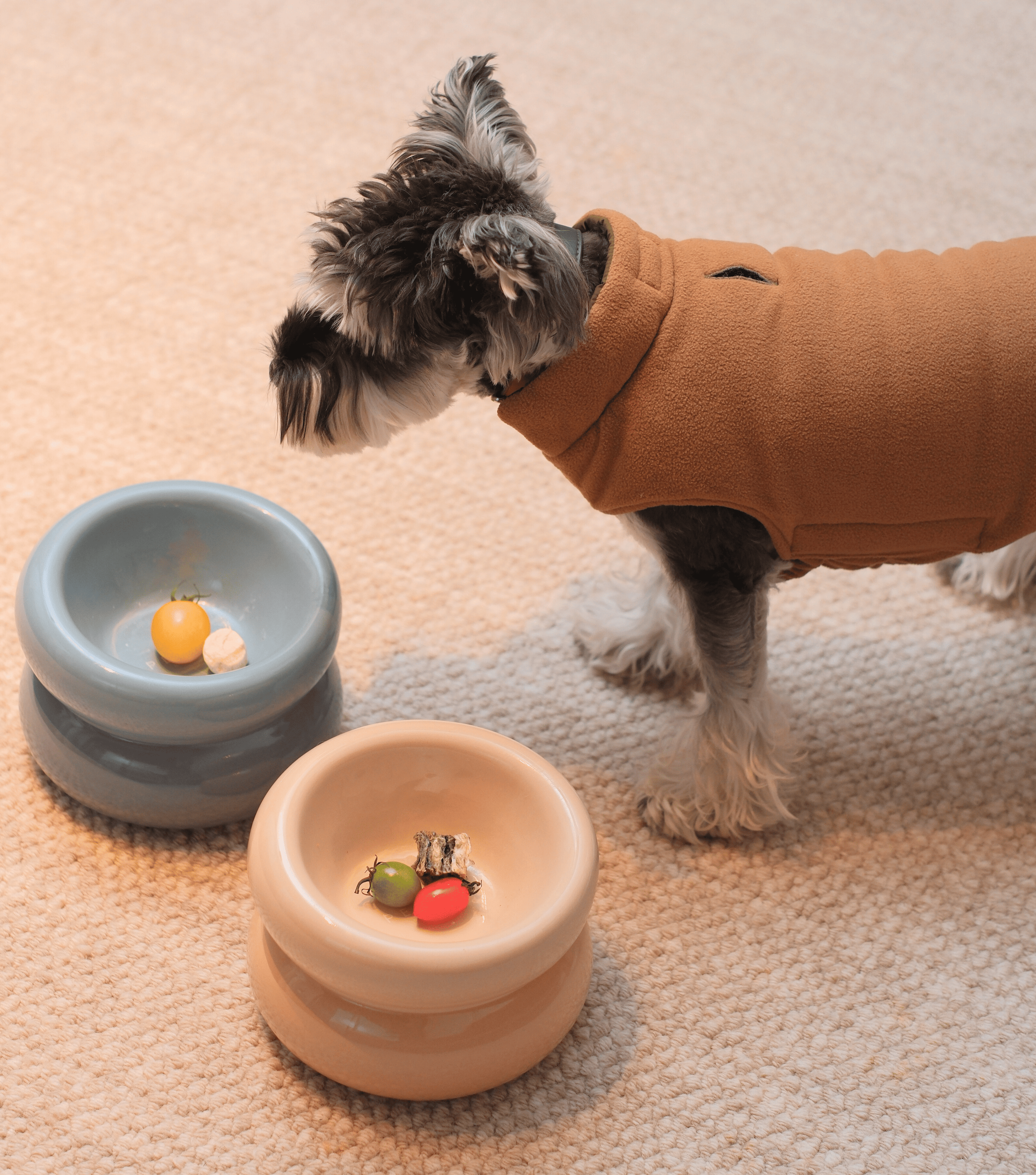 Souffle Pet Bowl-Cream Beige