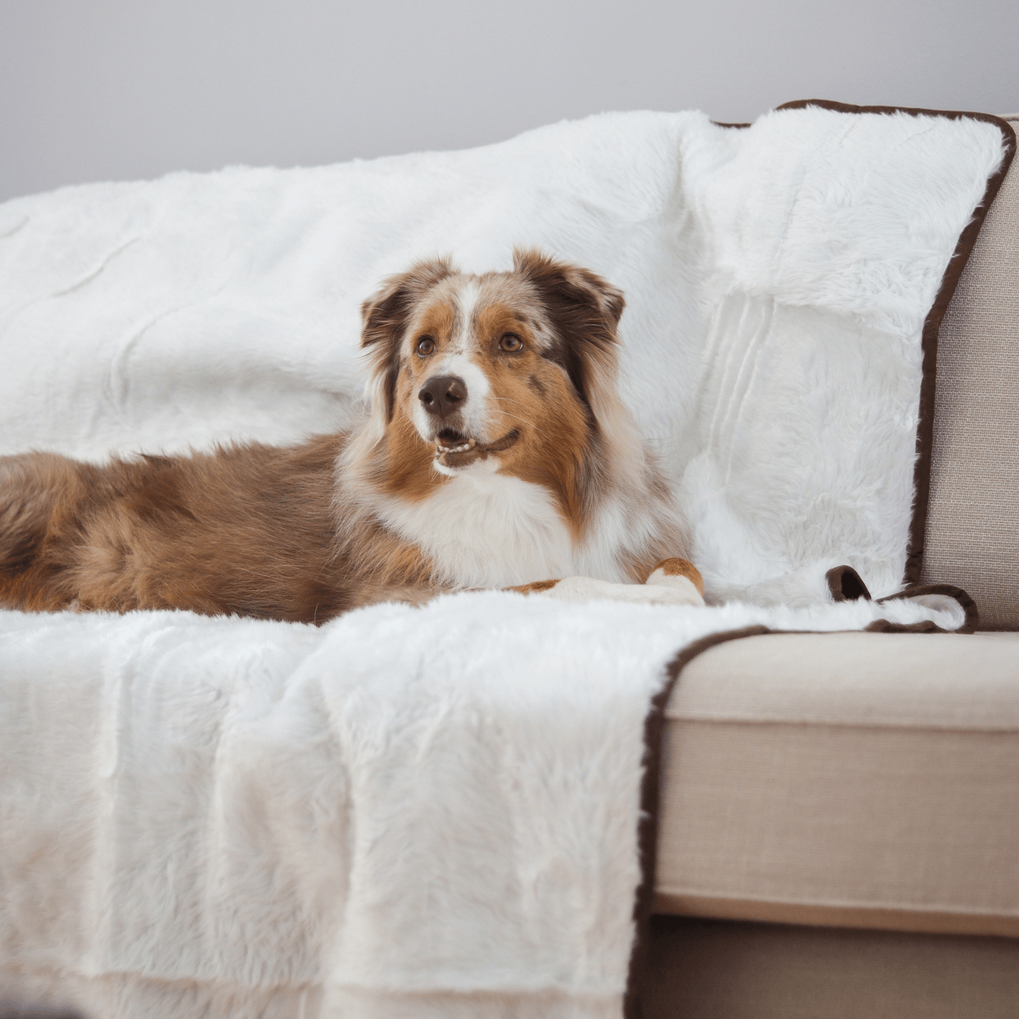 PupProtector Short Fur Waterproof Throw Blanket Polar White