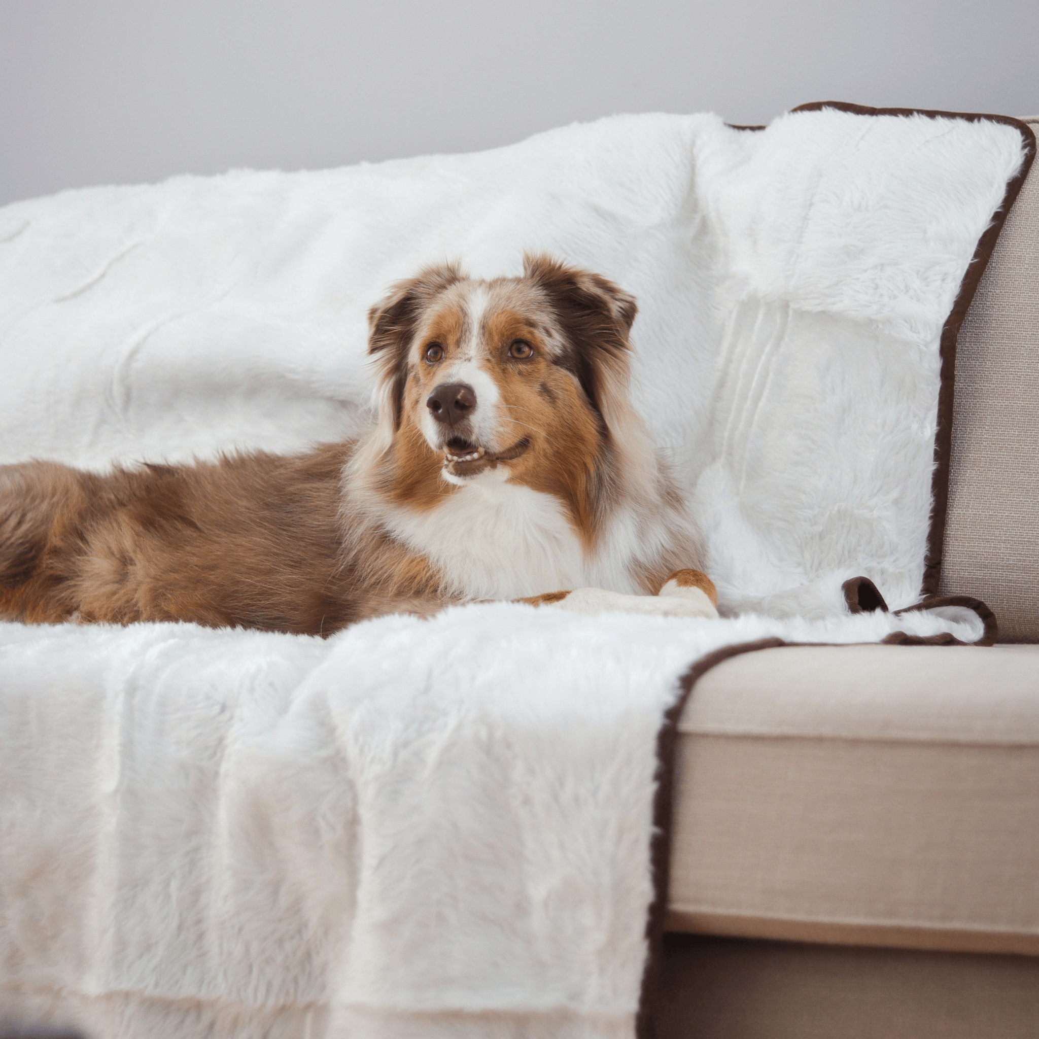 PupProtector Short Fur Waterproof Throw Blanket Polar White