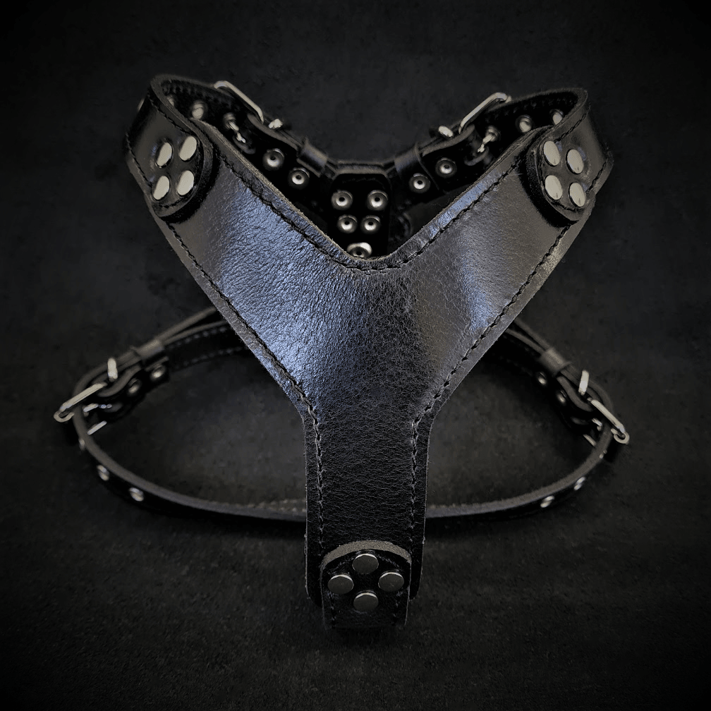 Bestia Style Black Leather Small to Medium Dog Harness