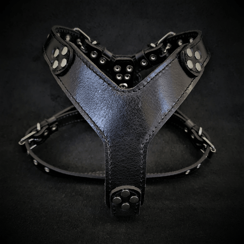 Bestia Style Black Leather Small to Medium Dog Harness
