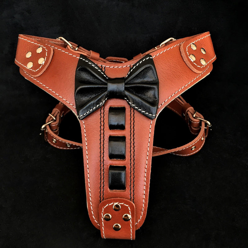 Bestia Dog Gear Genuine Leather Dog Harness - XXL 