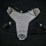 The Dragon Scale harness Medium Size