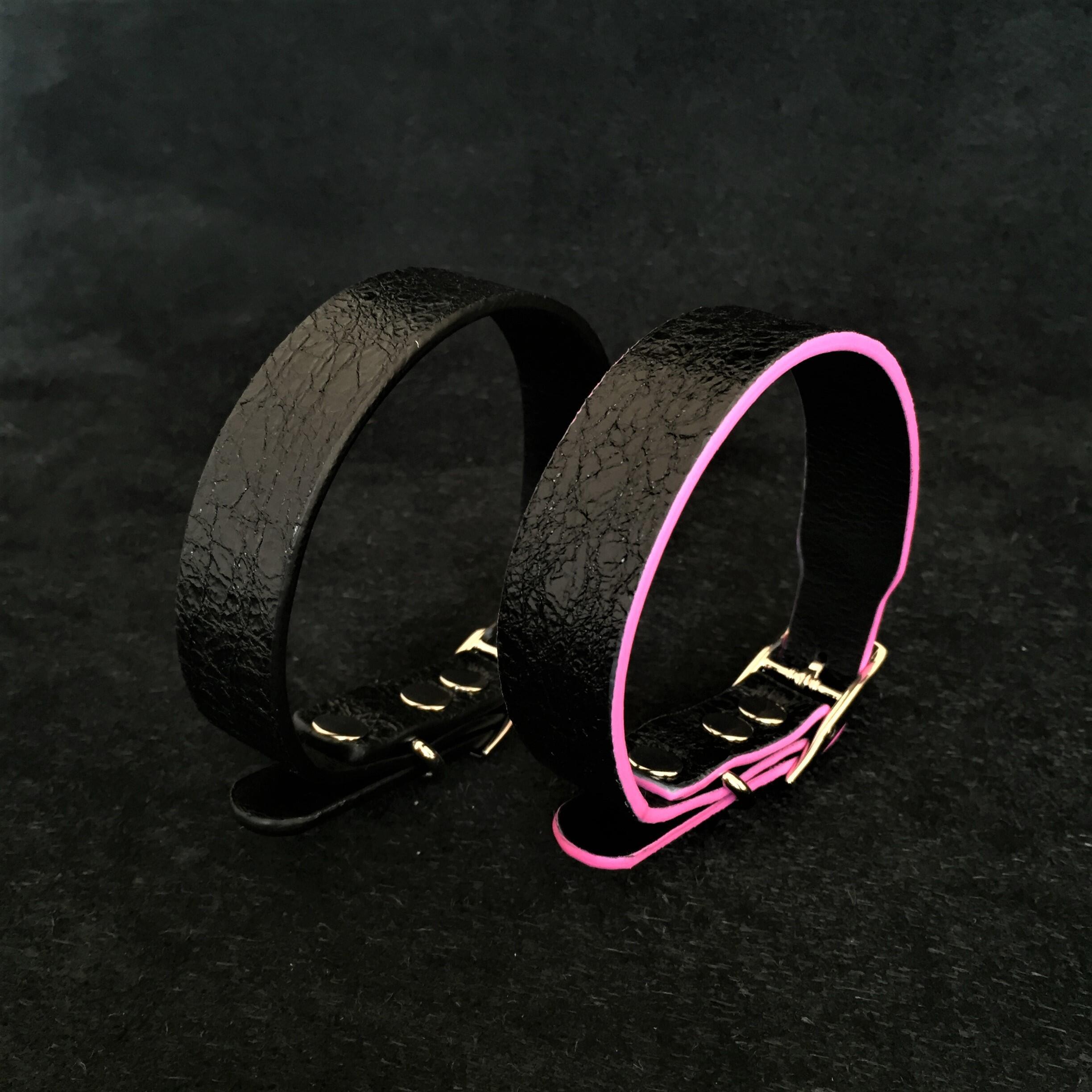 The Taurus puppy collar