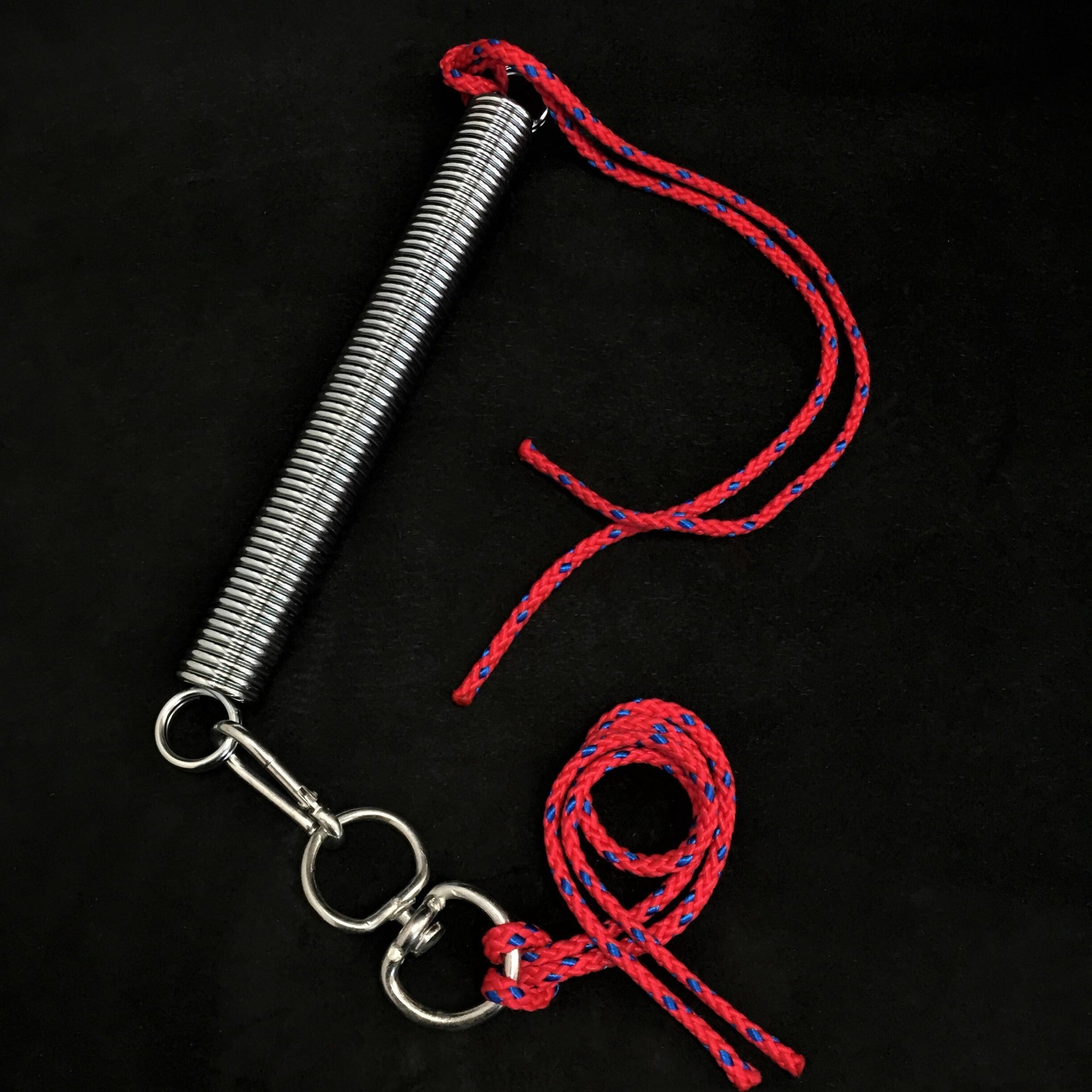 Bestia Dog Training Spring Set