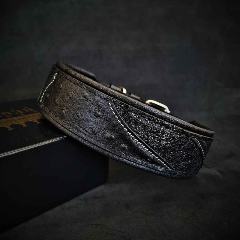 Bestia Korona Black Edition Leather Dog Collar