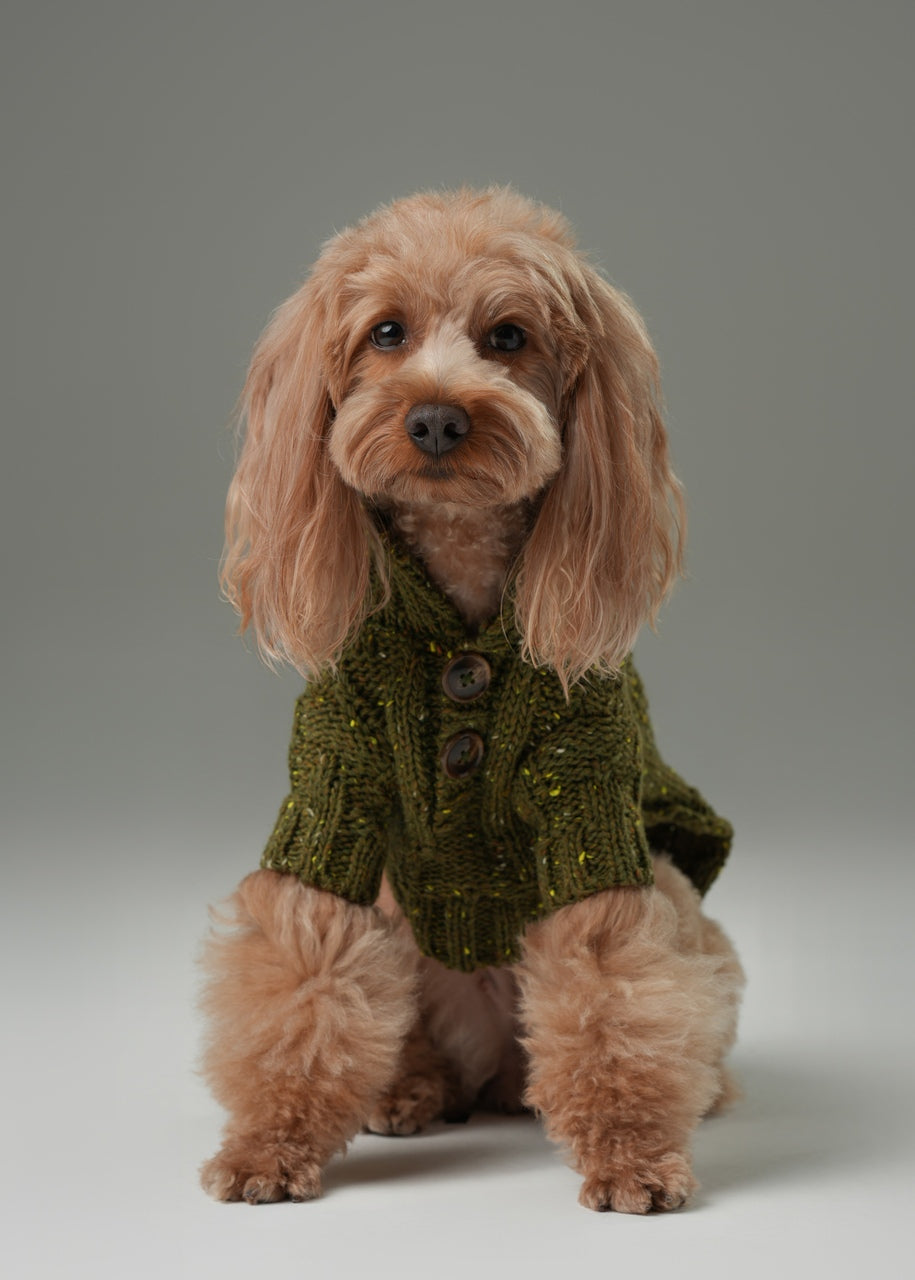 Glacier Pet Sweater-Olive Green