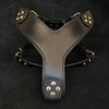 Bestia Dog Gear Genuine Leather Dog Harness - Black/M