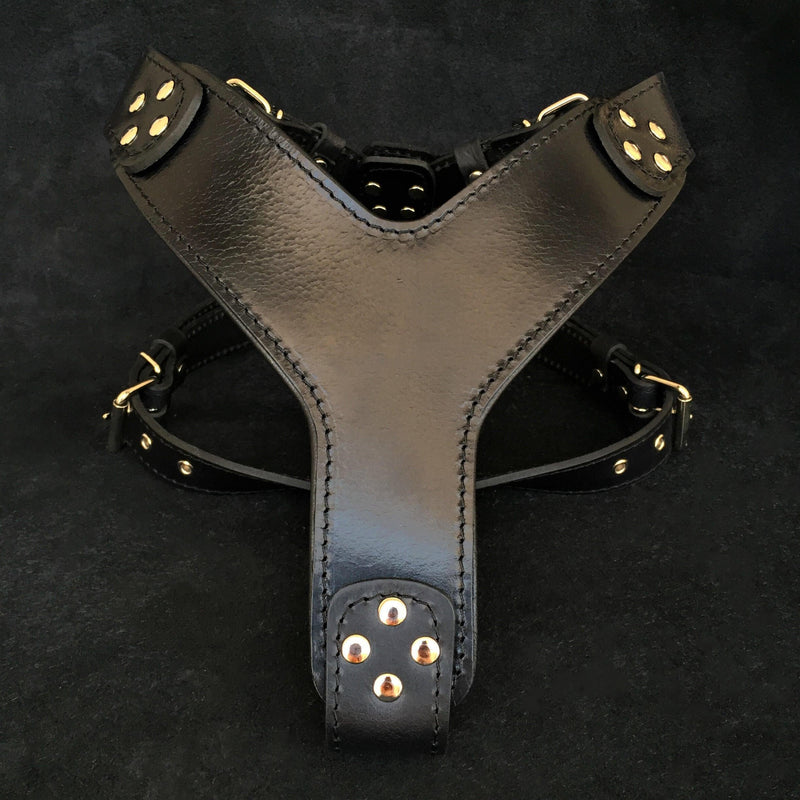 Bestia Dog Gear Genuine Leather Dog Harness - Black/M 
