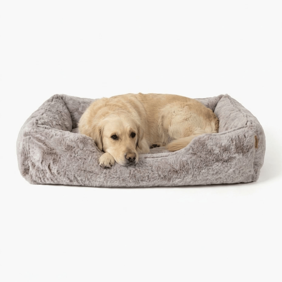 Sammy Bolster Dog Bed in Truffle, front view