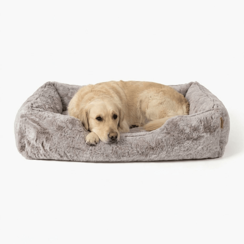 Sammy Bolster Dog Bed in Truffle, front view