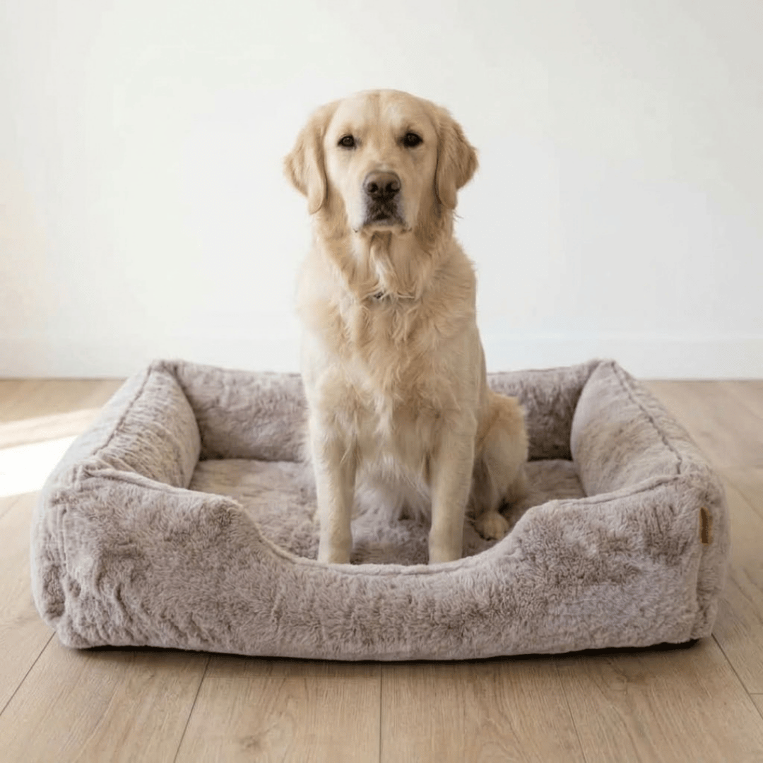 Sammy Bolster Dog Bed in Truffle, detail of fabric and stitching