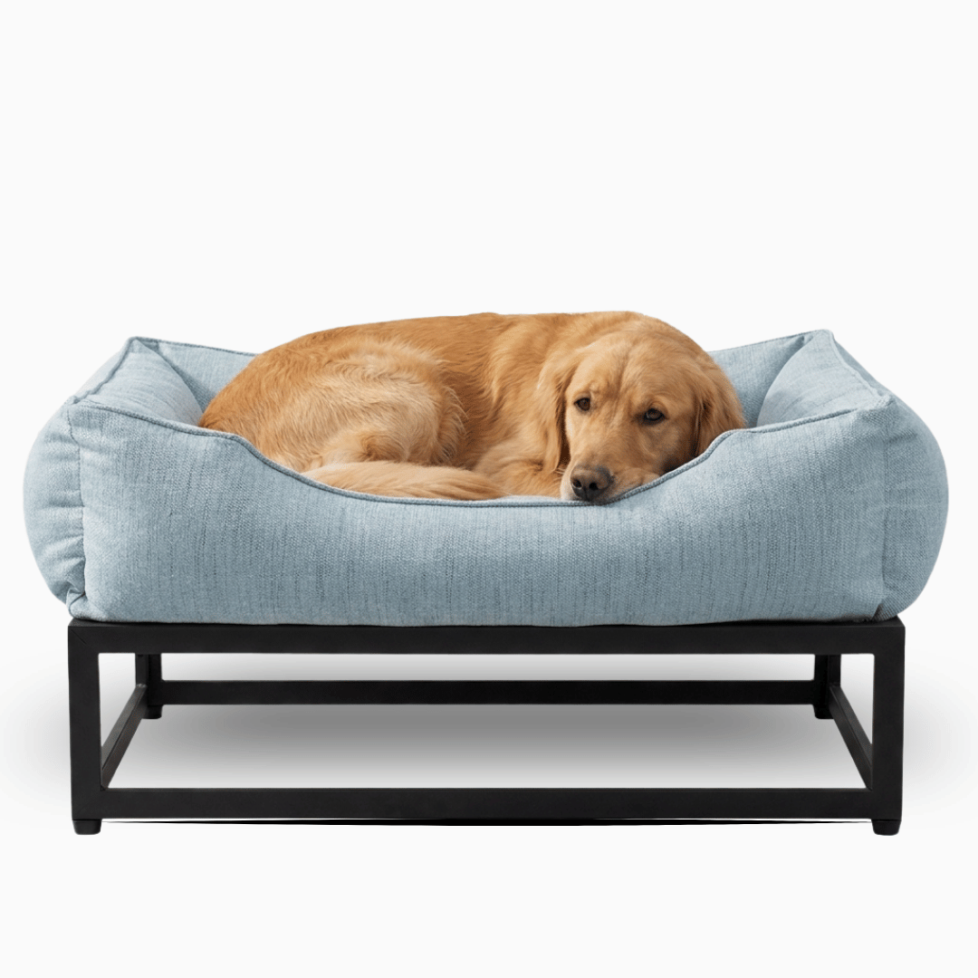 The FÜZI Elevated Dog Bed | HT Animal Supply