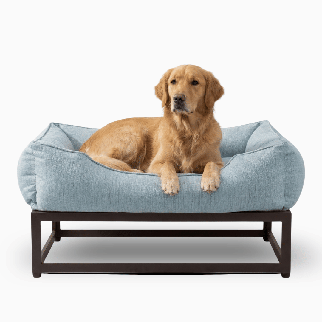 FÜZI Elevated Dog Bed in Mist Blue on brown metal base, front view