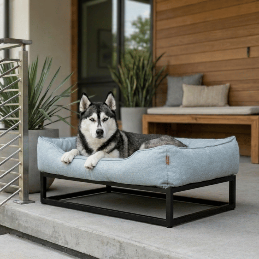 The FÜZI Elevated Dog Bed | HT Animal Supply
