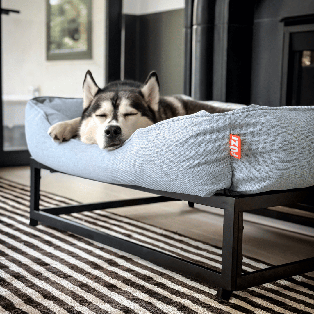 The FÜZI Elevated Dog Bed | HT Animal Supply