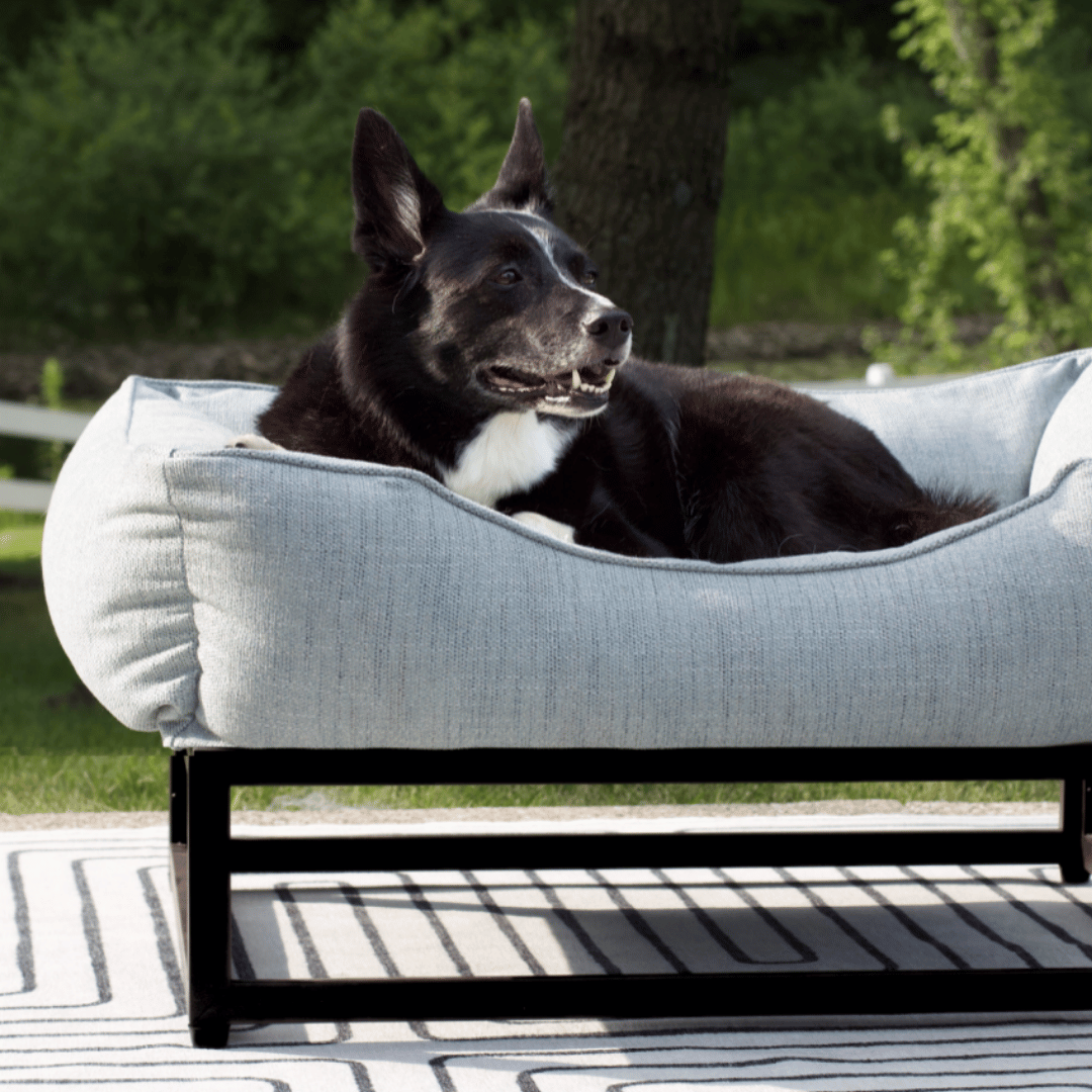 The FUZI Elevated Dog Bed