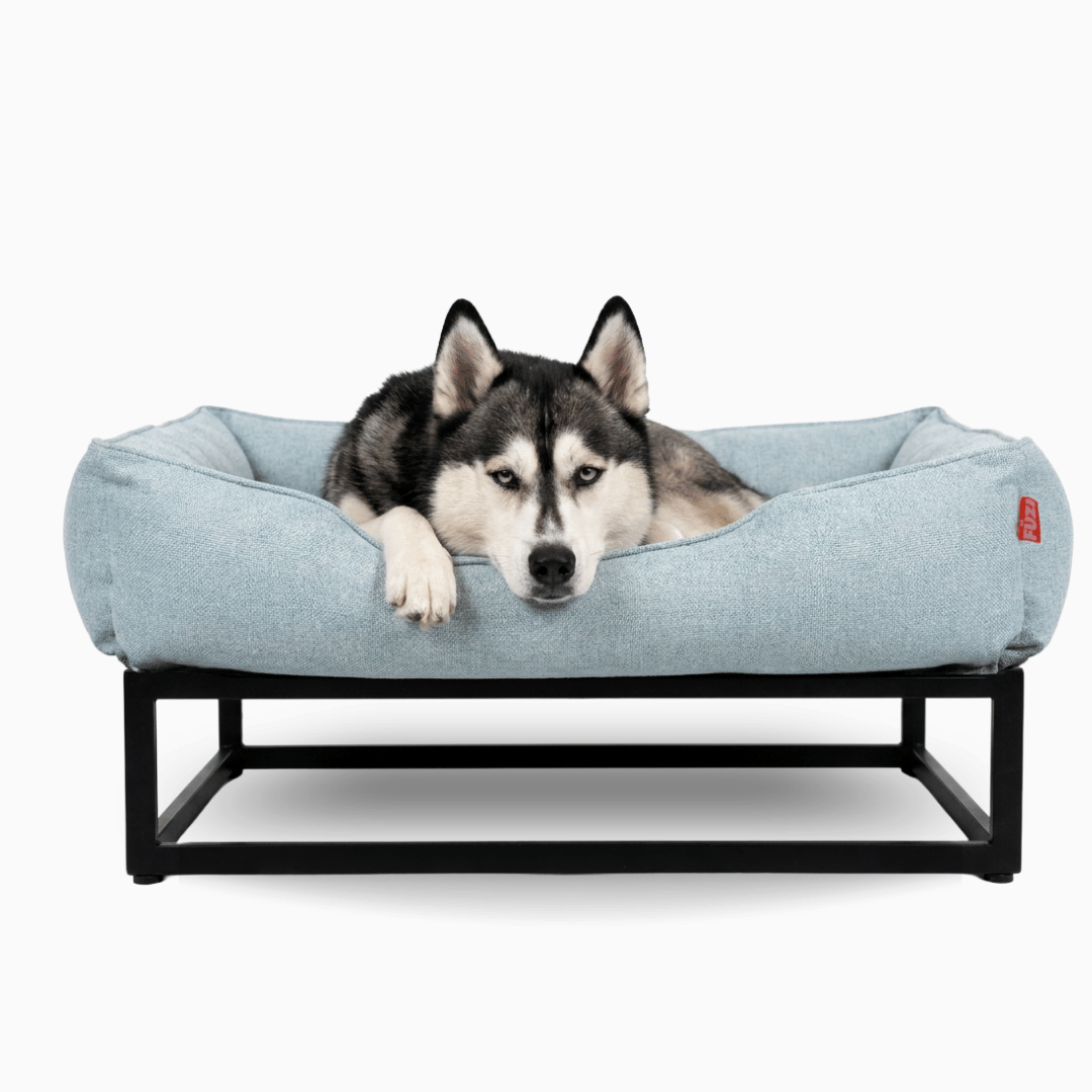 The FÜZI Elevated Dog Bed | HT Animal Supply