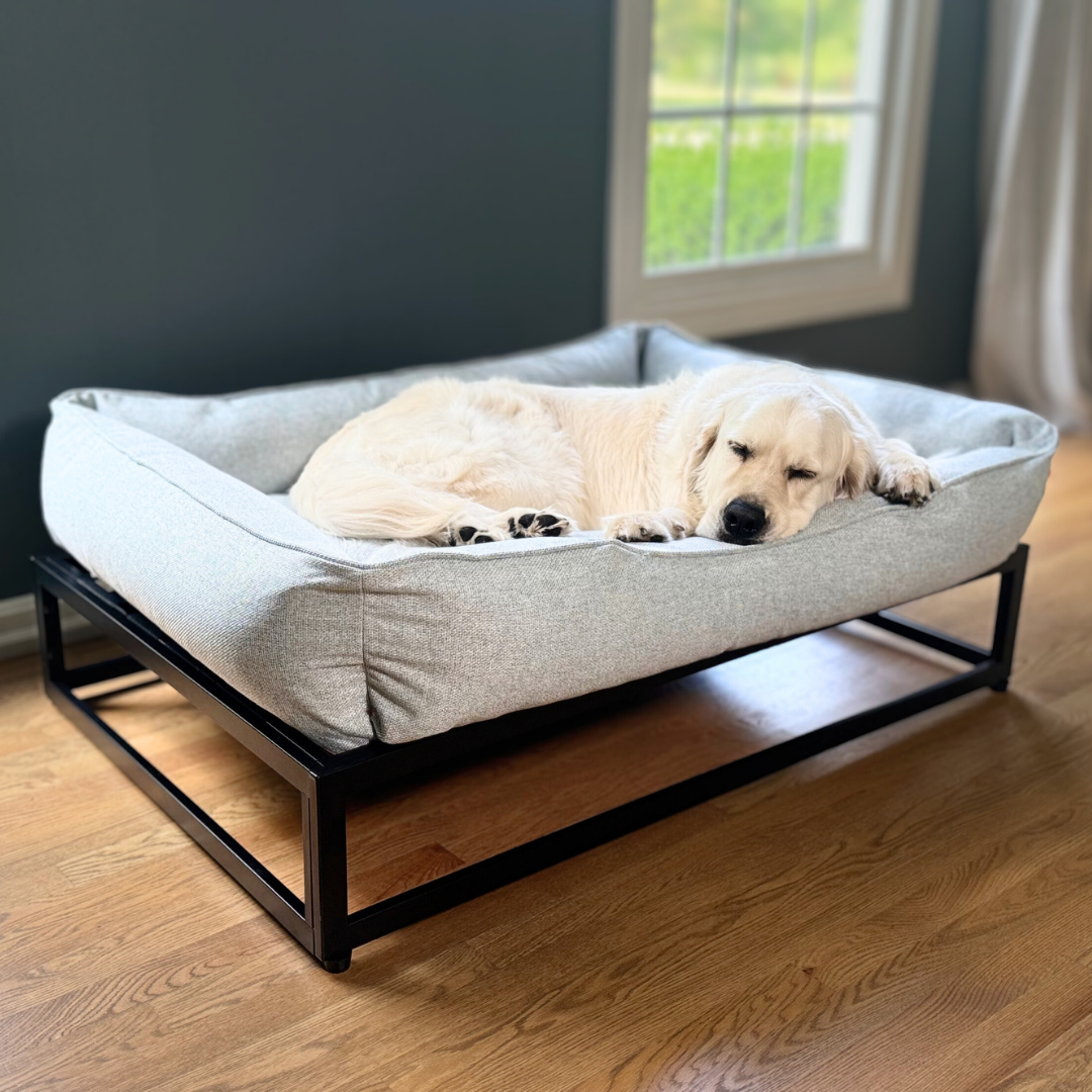 The FÜZI Dog Bed