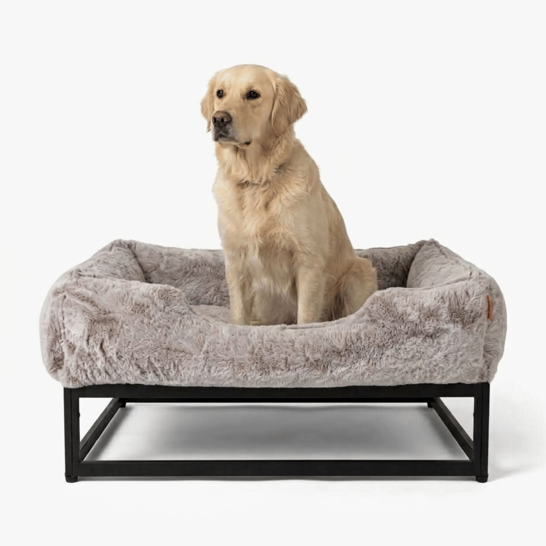 FÜZI Elevated Dog Bed in Truffle with black base, front view