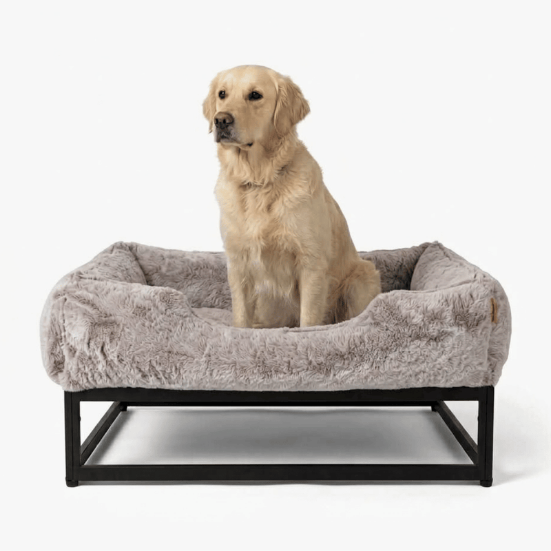 FÜZI Elevated Dog Bed in Truffle with black base, front view