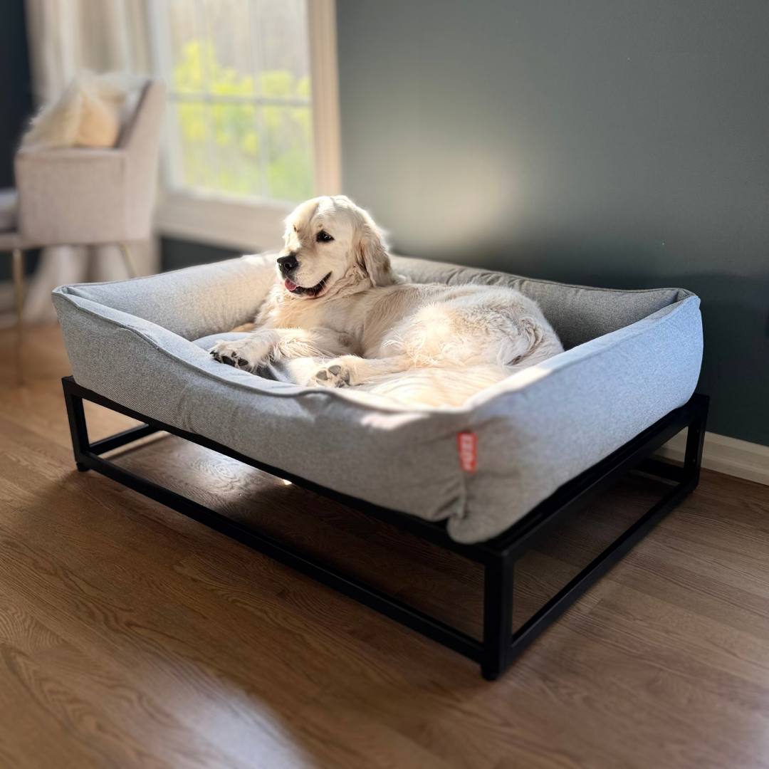 The FÜZI Elevated Dog Bed | HT Animal Supply