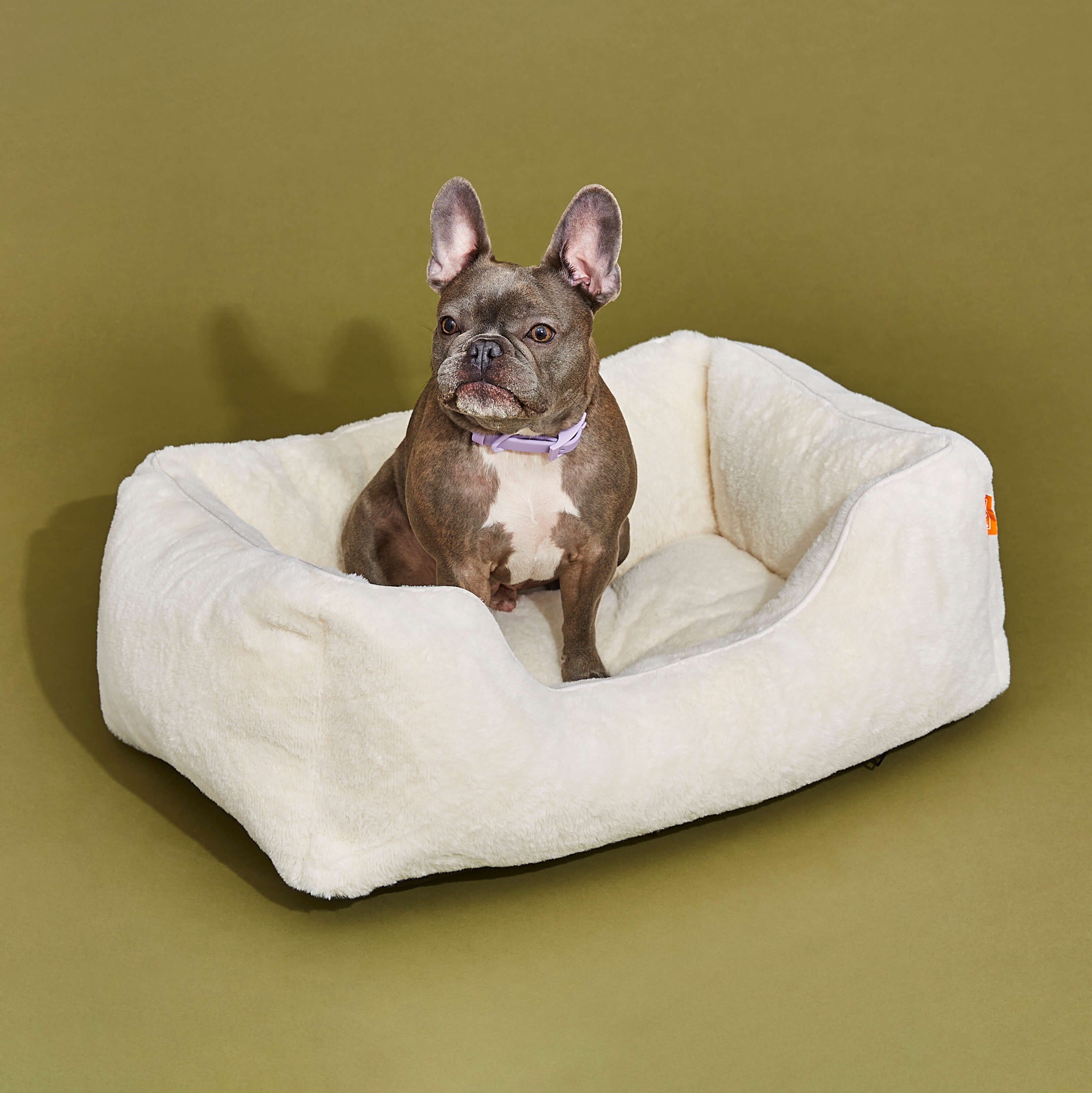 The Sammy Dog Bed