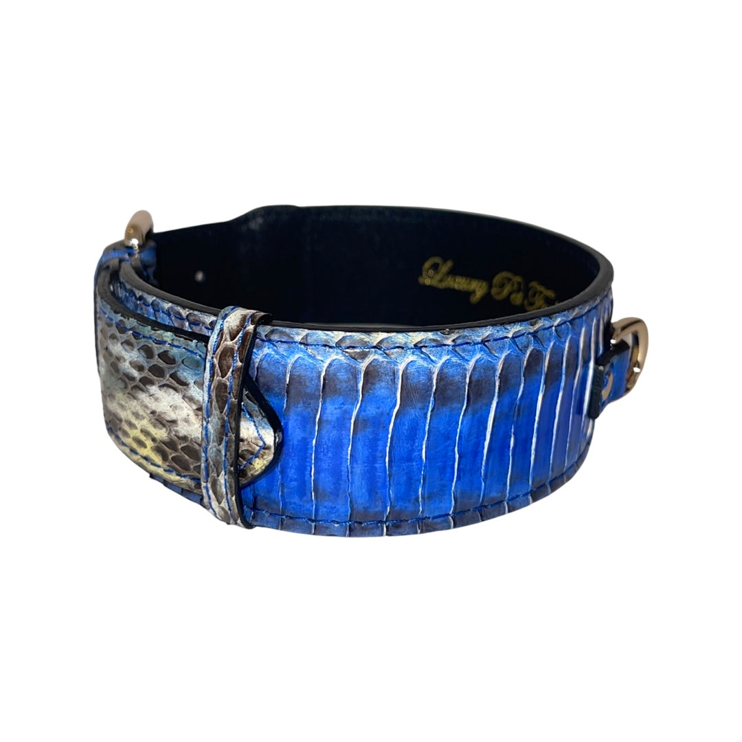 Allysa Payne Multi-Blue Tone Snake Classic Dog Collar