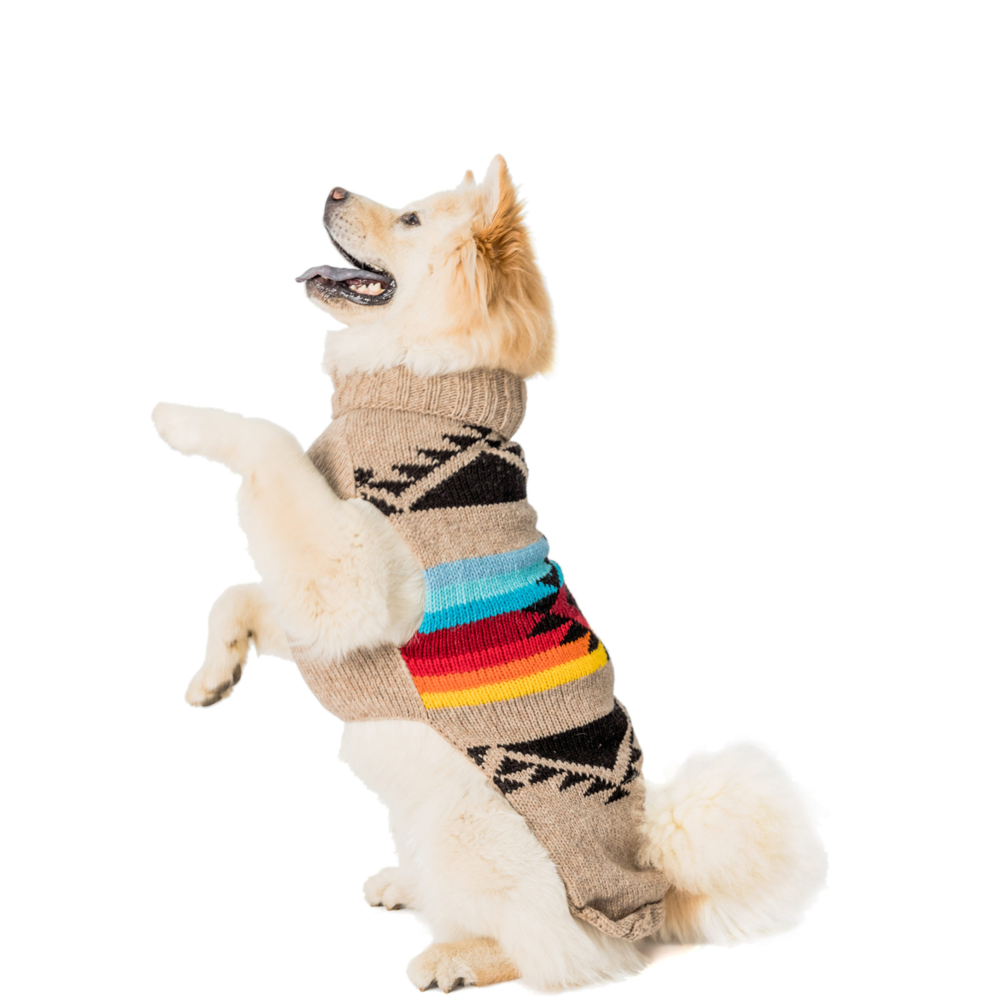 Chilly Dog Painted Desert Knit Wool Dog Sweater