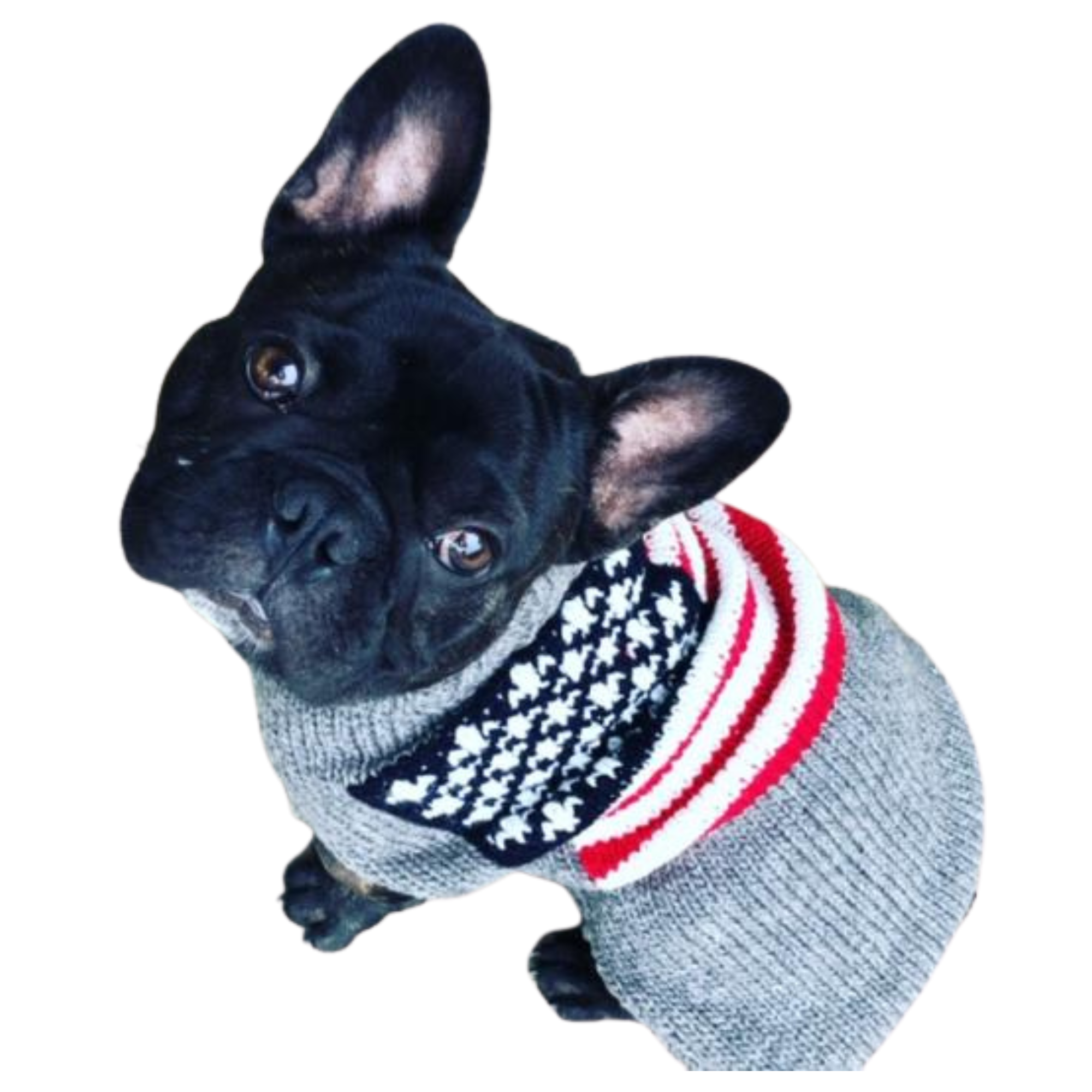 Chilly Dog American Flag Wool Dog Sweater