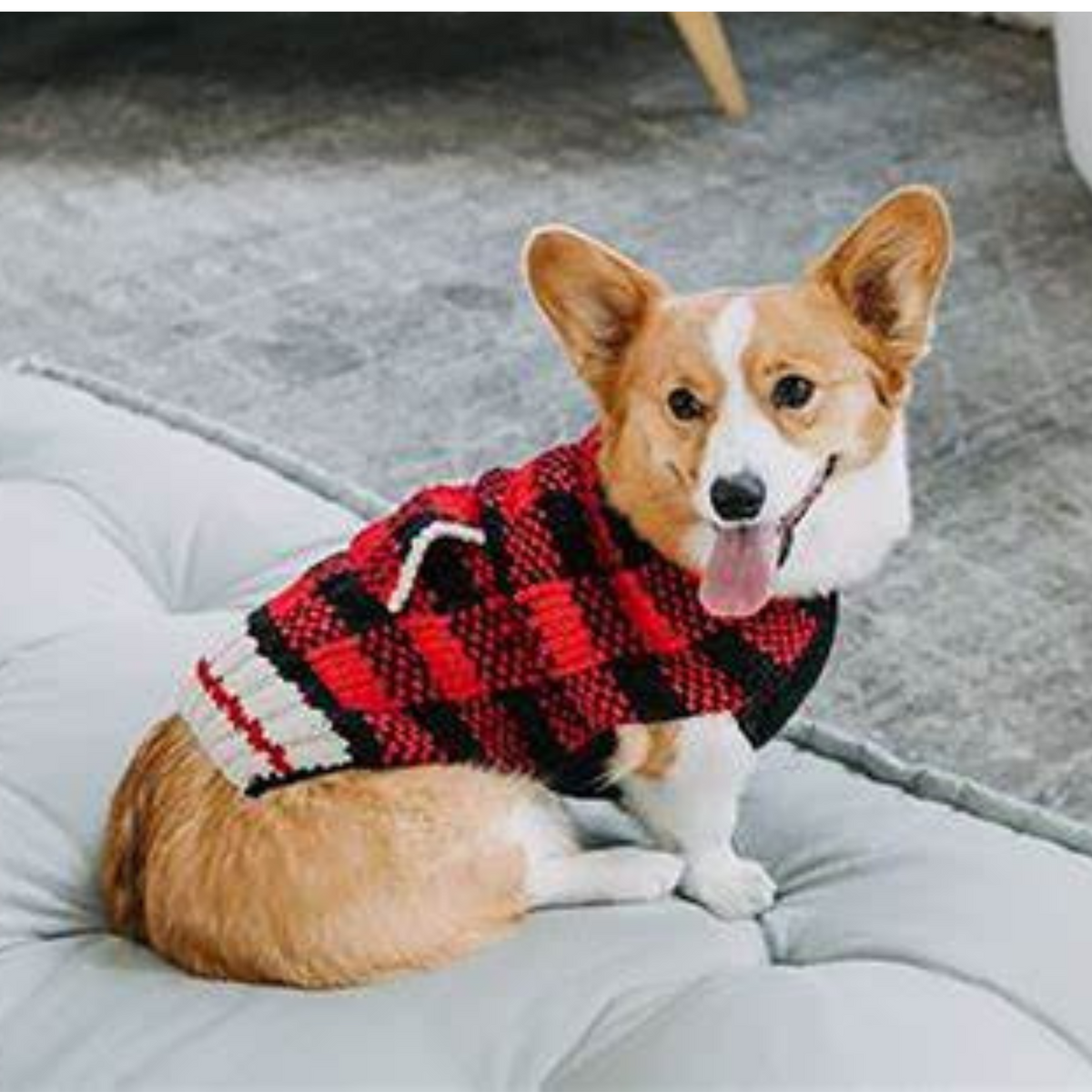 Chilly Dog Buffalo Plaid Wool Dog Sweater