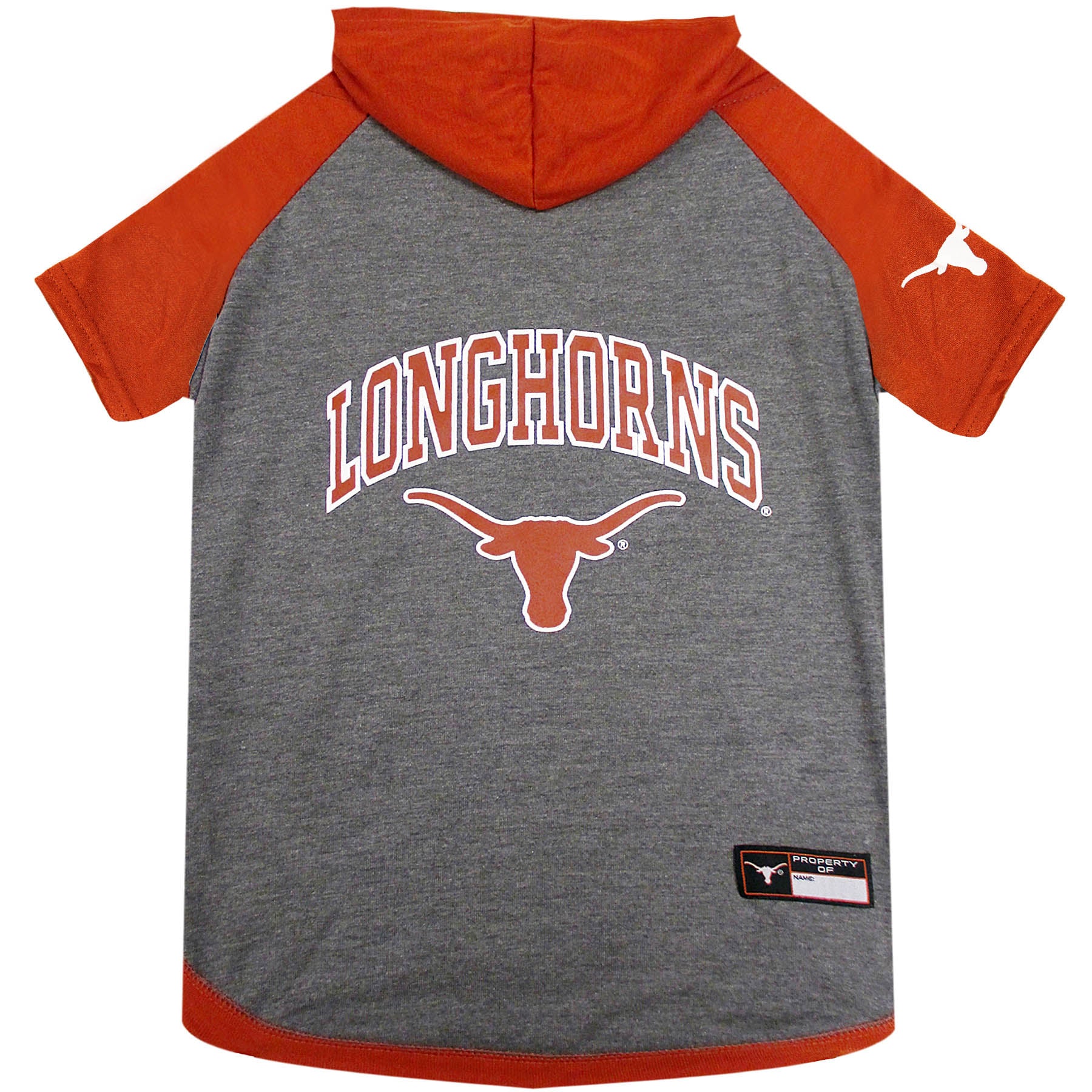 TEXAS HOODIE TEE SHIRT