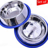 Set of 2 Etched Stainless Steel Dog Bowls with Blue Silicone Base