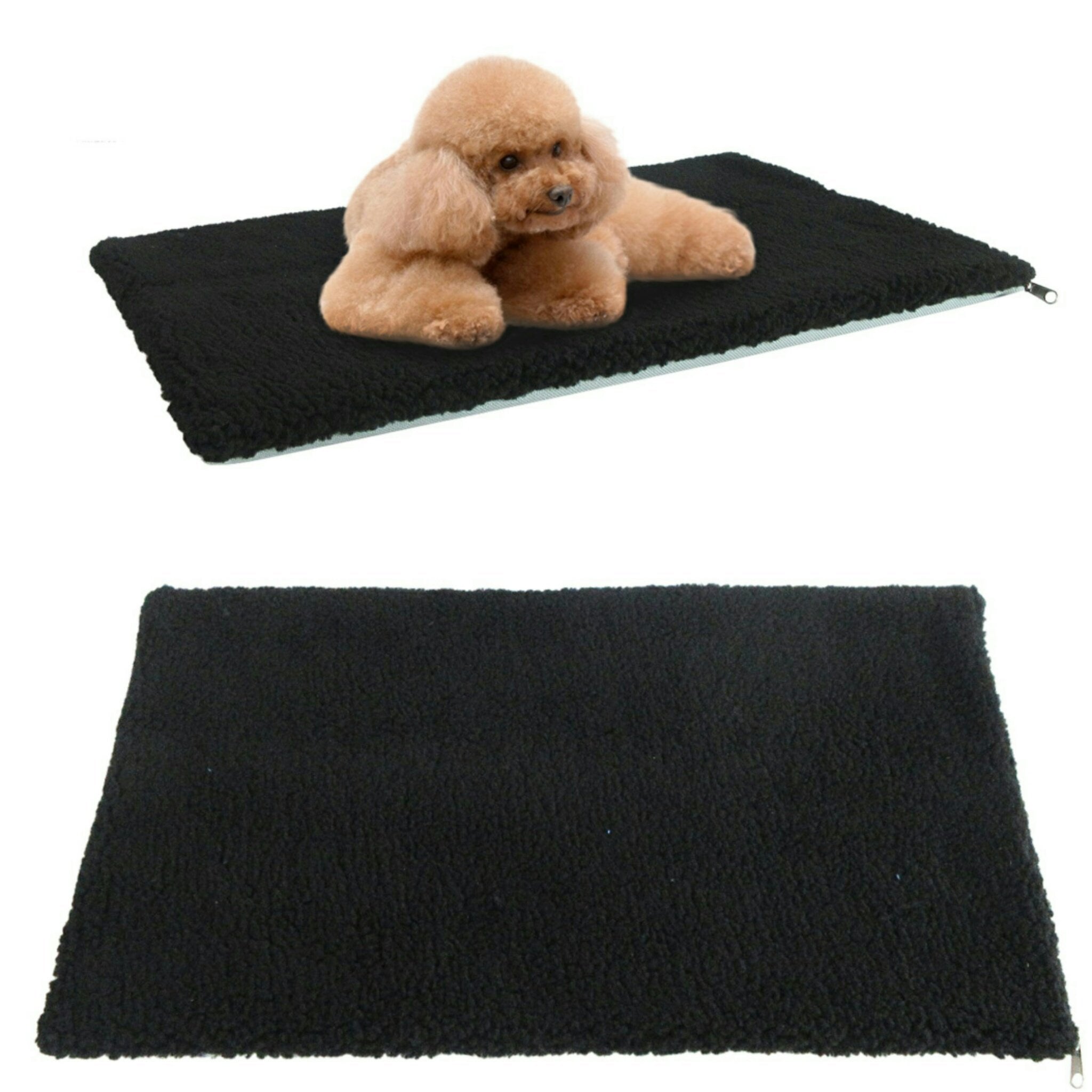 Mr. Peanuts Silver Series Airline Capable Soft Sided Pet Carrier