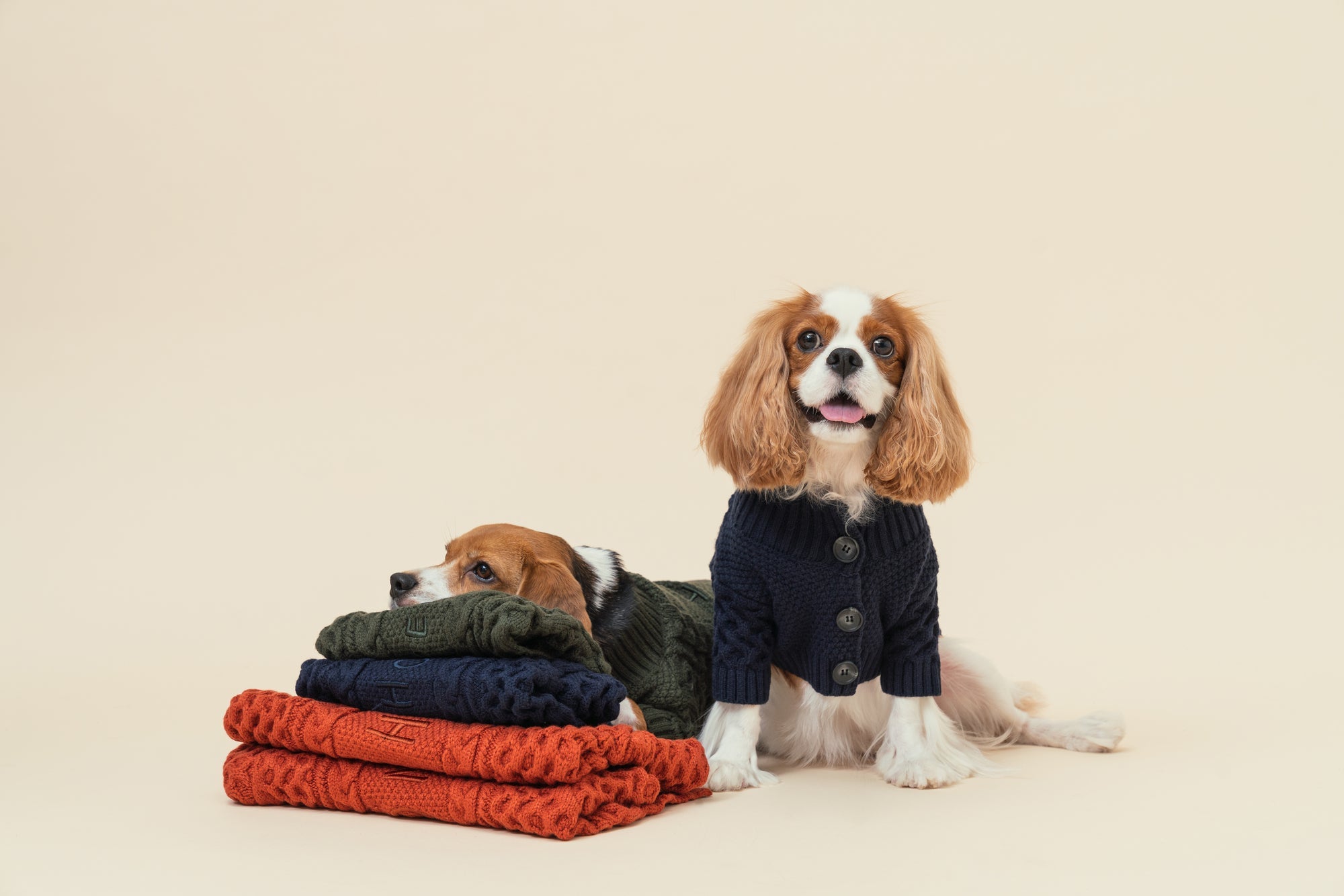 Bert Cardigan Sweater-Orange