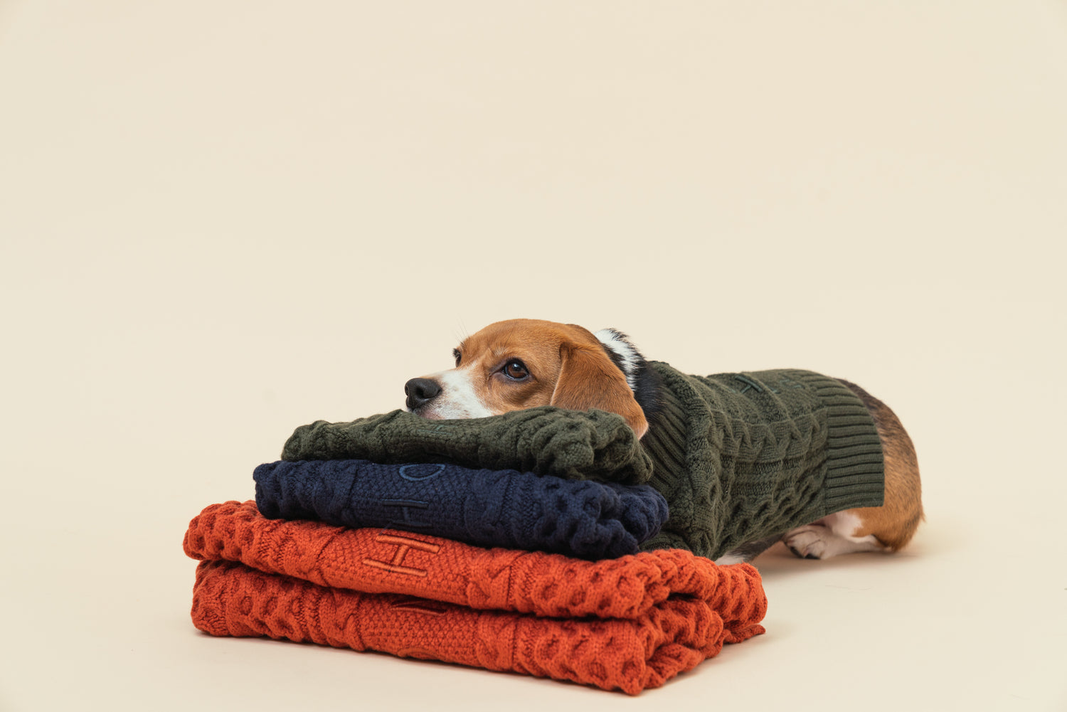 Bert Cardigan Sweater-Dark Green